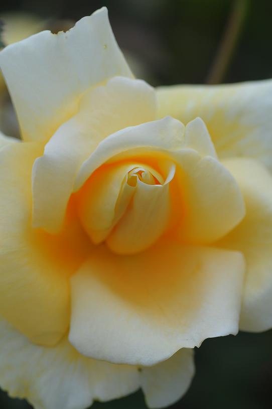 e0095142_1840233.jpg