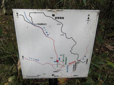 e0164643_2255547.jpg