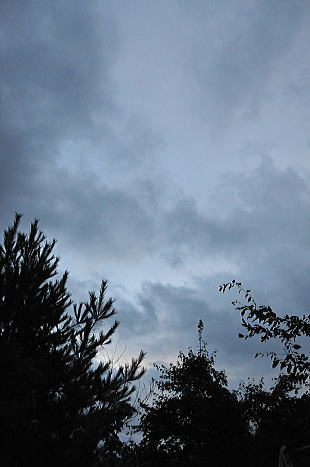 f0094843_1901559.jpg