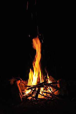 f0094843_1913472.jpg