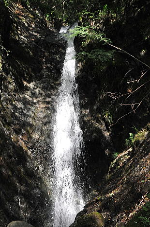f0094843_20122897.jpg