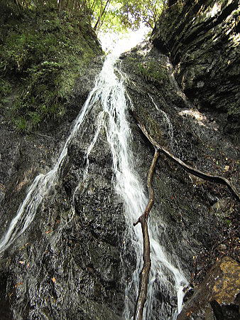 f0094843_20132125.jpg