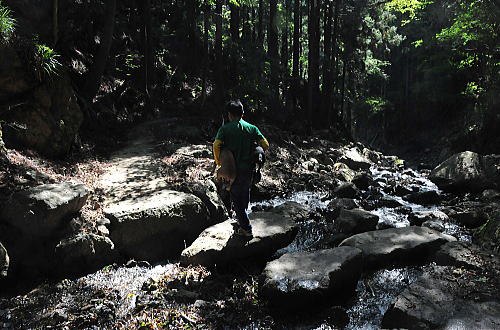 f0094843_20142371.jpg