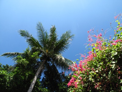 e0027447_16253224.jpg