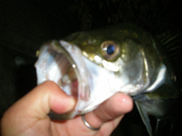 f0150151_21511458.jpg
