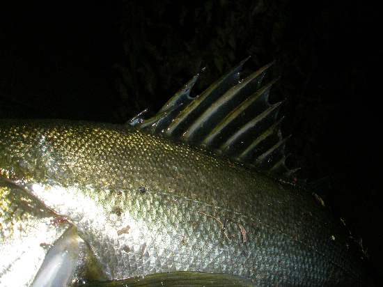 f0150151_21512498.jpg