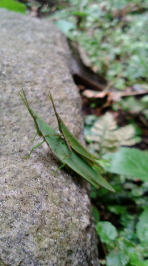 f0150151_21513492.jpg