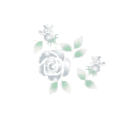 a0119953_2231442.gif