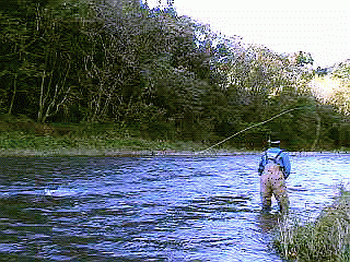 f0084561_15235754.gif