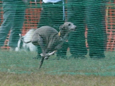 f0158862_20163459.jpg