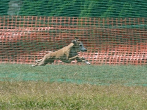 f0158862_20172458.jpg