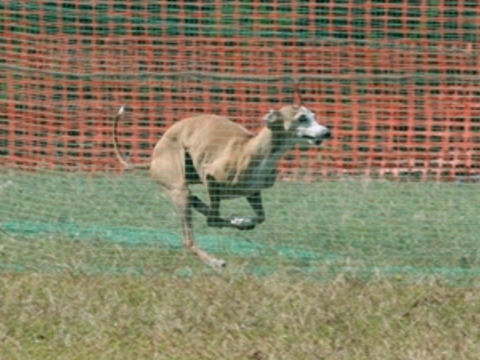 f0158862_20174365.jpg