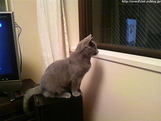 c0200365_22574716.jpg