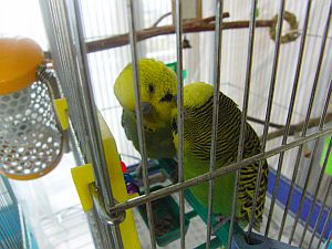 f0196665_0454697.jpg