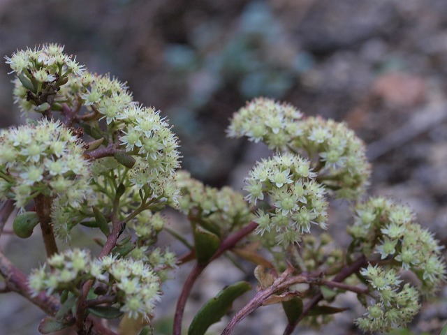 d0025568_16504911.jpg