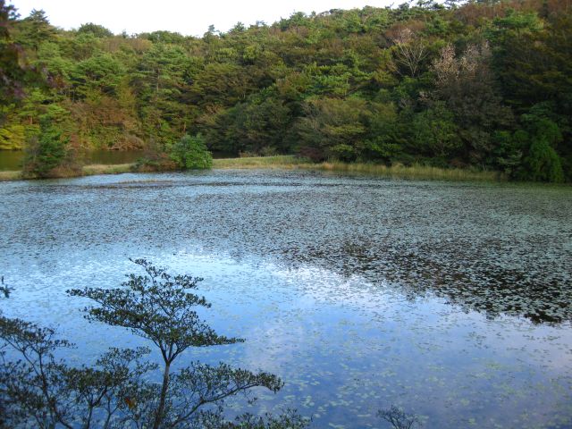 c0042869_195339.jpg