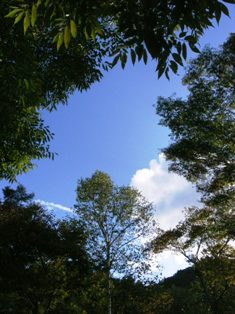 c0108673_140415.jpg