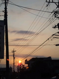 d0109373_2011470.jpg