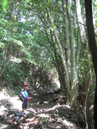 e0135073_21532459.jpg