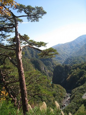 a0038882_15505136.jpg