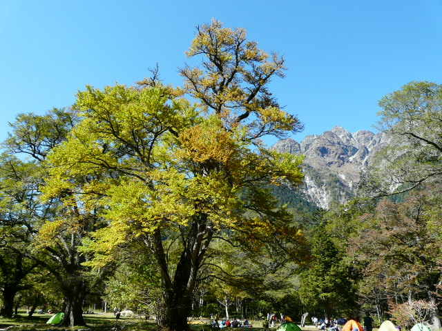 e0145782_11244826.jpg
