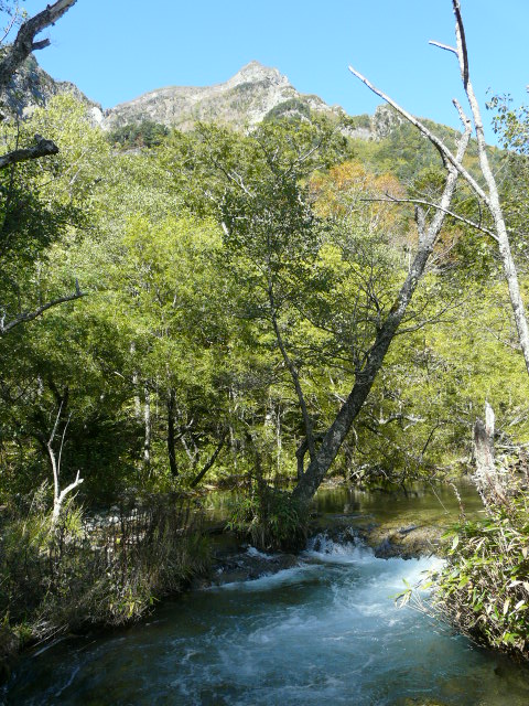 e0145782_11273772.jpg