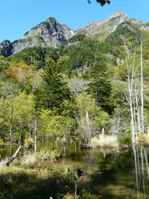 e0145782_1127541.jpg