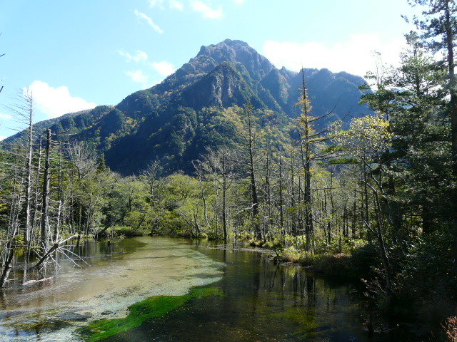 e0145782_11283510.jpg