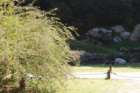 e0150783_7233539.jpg