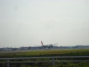 e0096485_11311413.jpg
