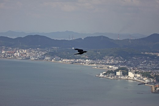 e0190885_19333635.jpg