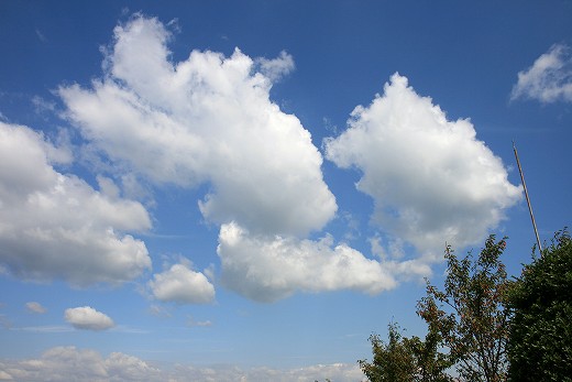 e0190885_1934219.jpg
