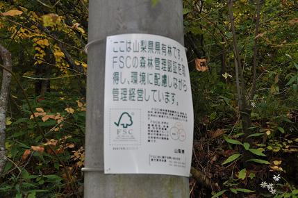 c0002089_10305779.jpg
