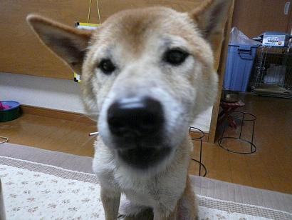 c0123890_19262999.jpg
