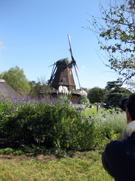 c0096393_2233581.jpg