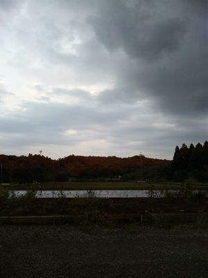 b0135599_0413357.jpg