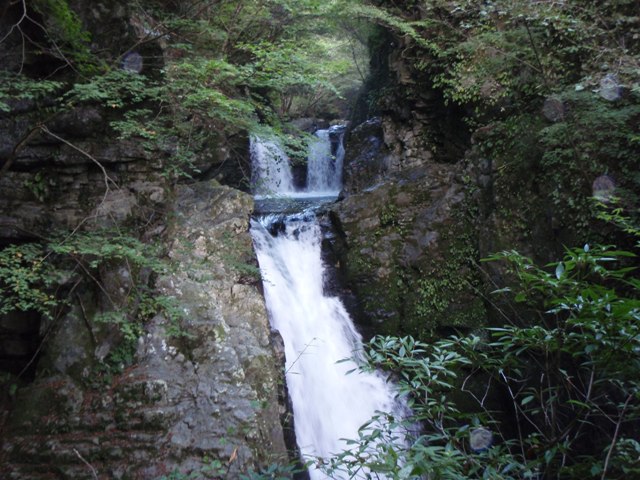 b0164002_21384258.jpg