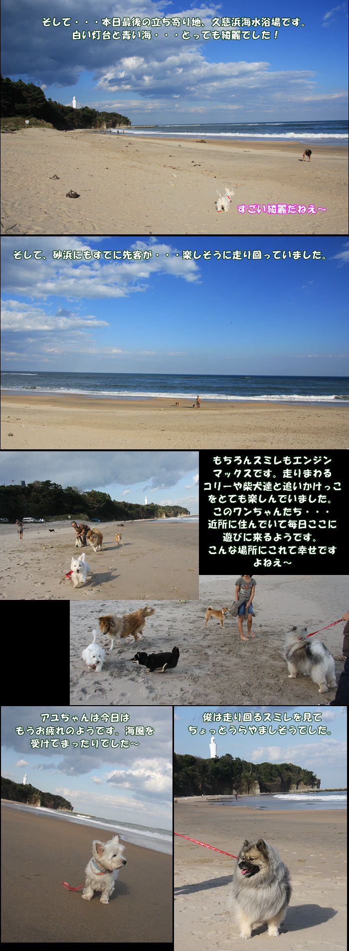 e0149903_21444911.jpg