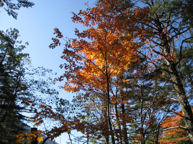 f0149505_23484312.jpg