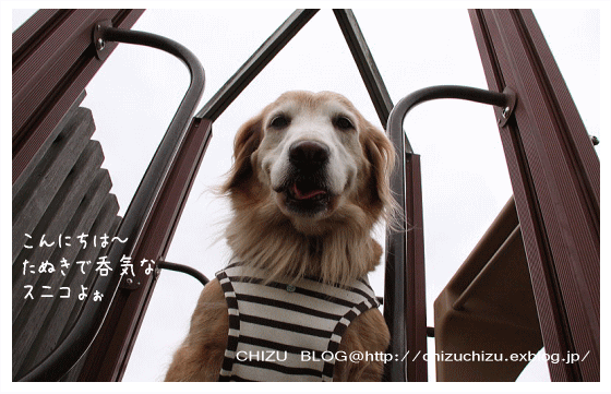 c0017311_13441660.gif