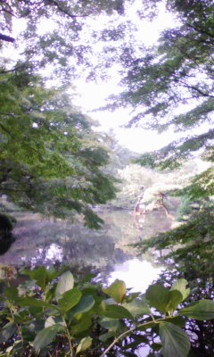 e0009714_1804157.jpg