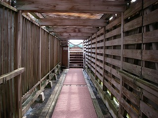 f0121115_21275715.jpg