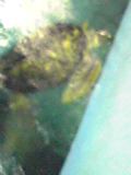 e0134616_0142051.jpg