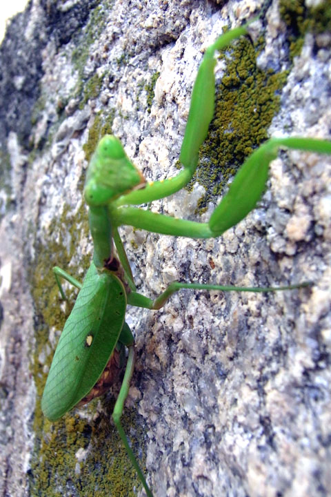e0083517_2125624.jpg