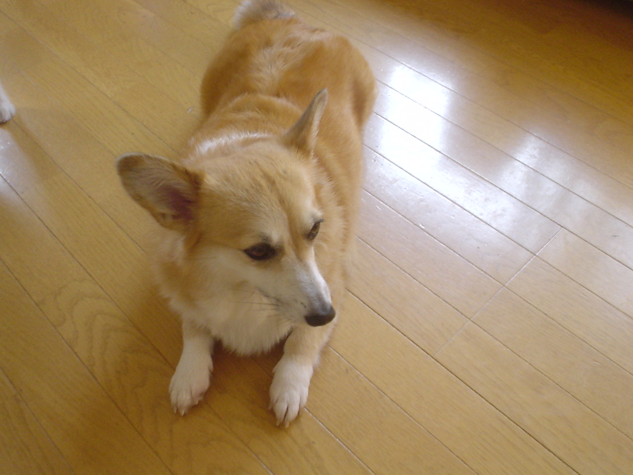 c0150520_9273892.jpg