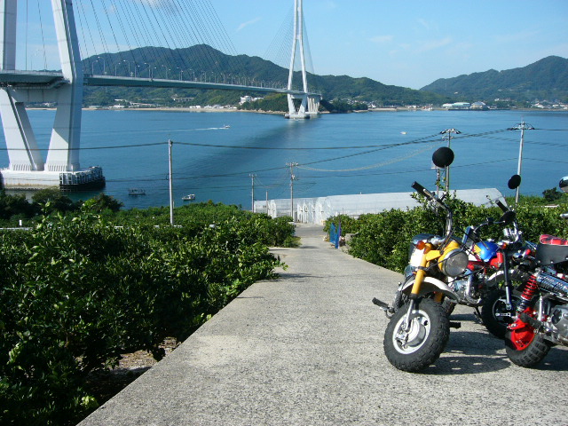 f0117723_051443.jpg