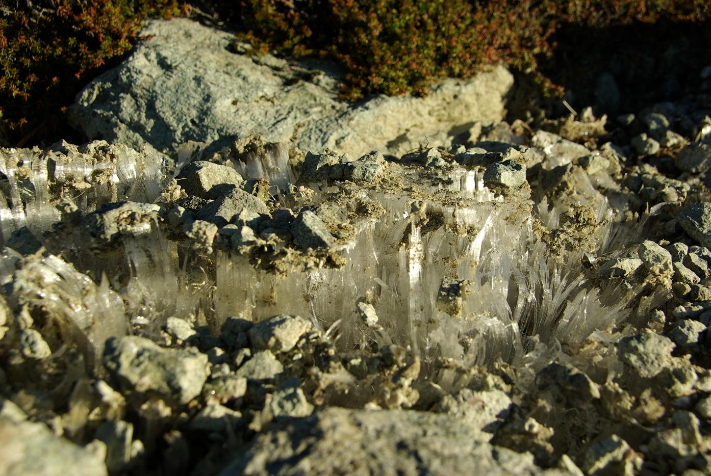 b0062024_7511240.jpg
