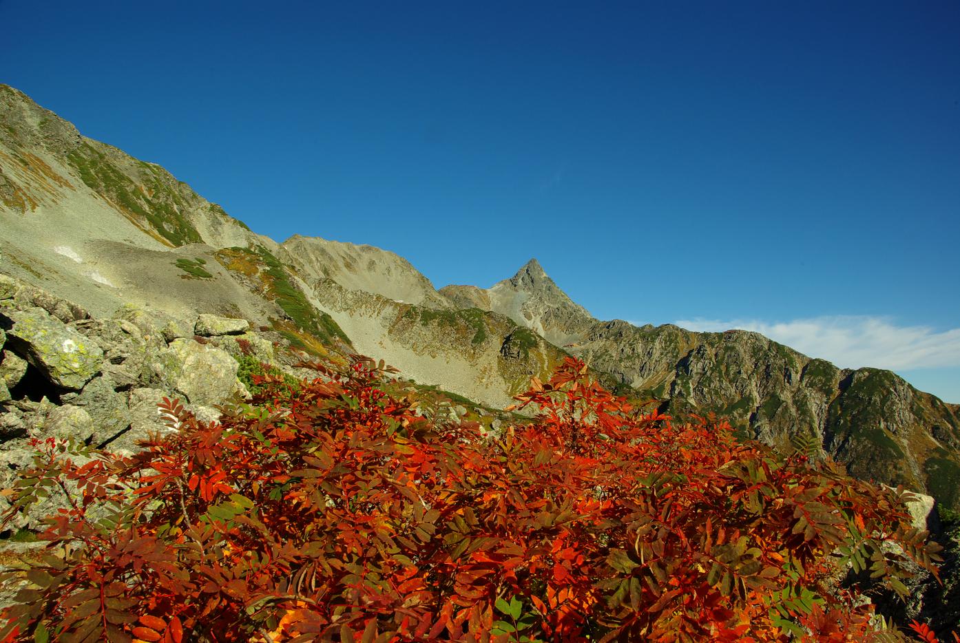 b0062024_8143279.jpg