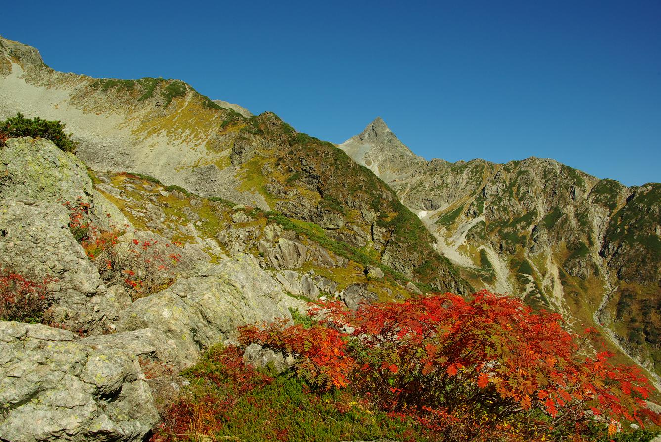 b0062024_8175731.jpg