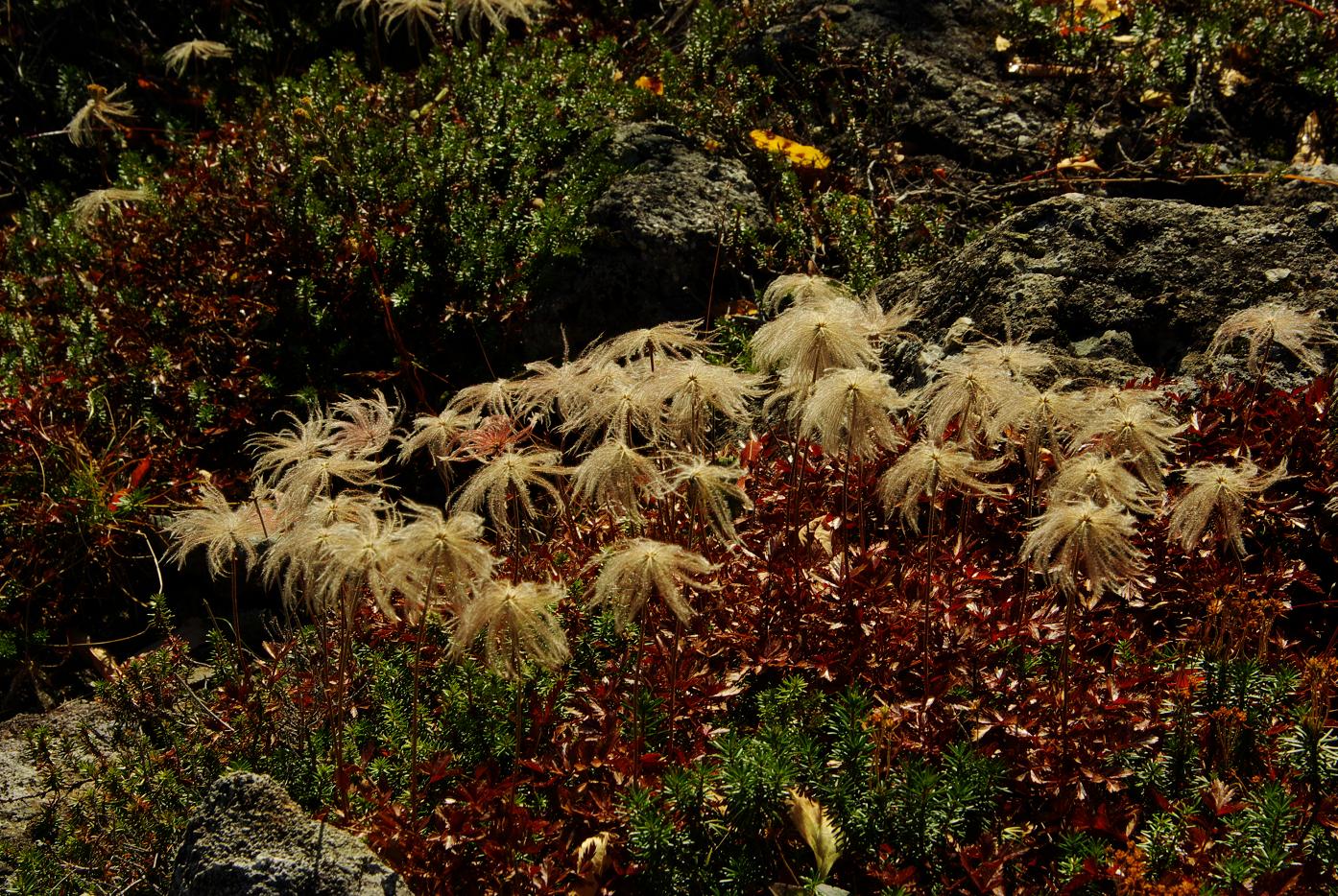 b0062024_8192555.jpg